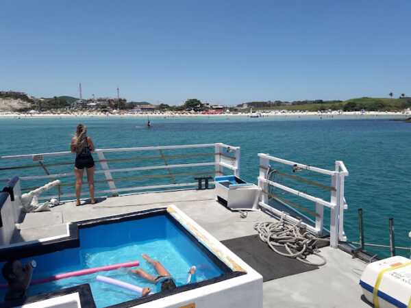 ⛵ Passeio de Escuna em Cabo Frio com Transfer, Almoço e Pôr do Sol 🌊🌅🍽️ - Image 4
